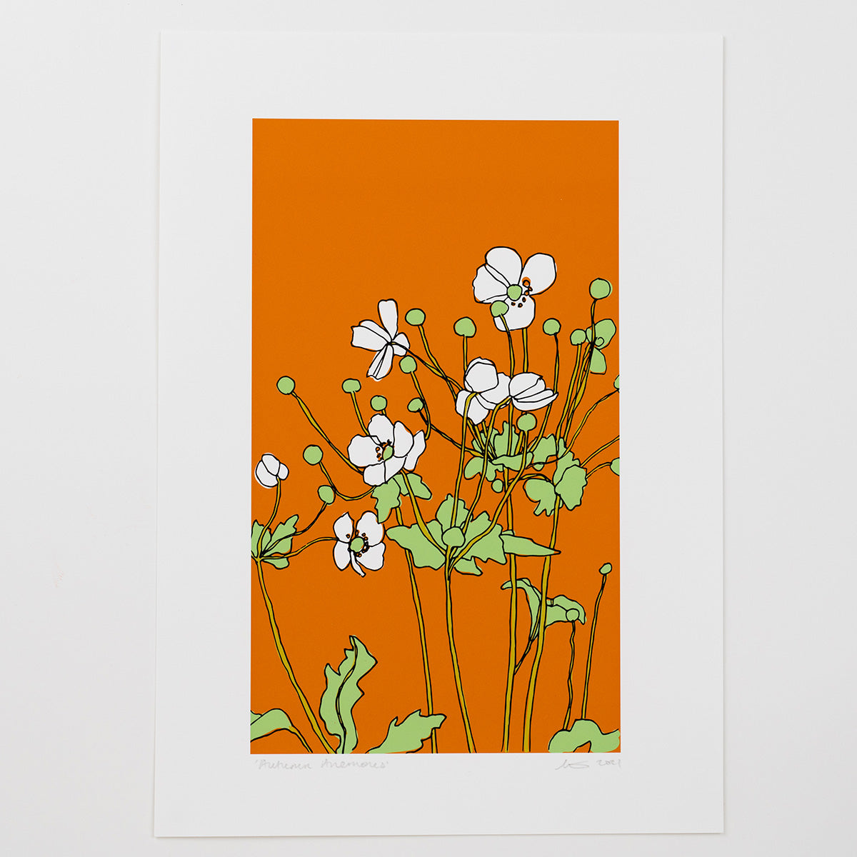 Autumn Anemones - A4 Print