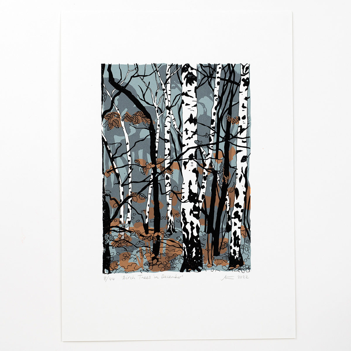 Birch Trees in December