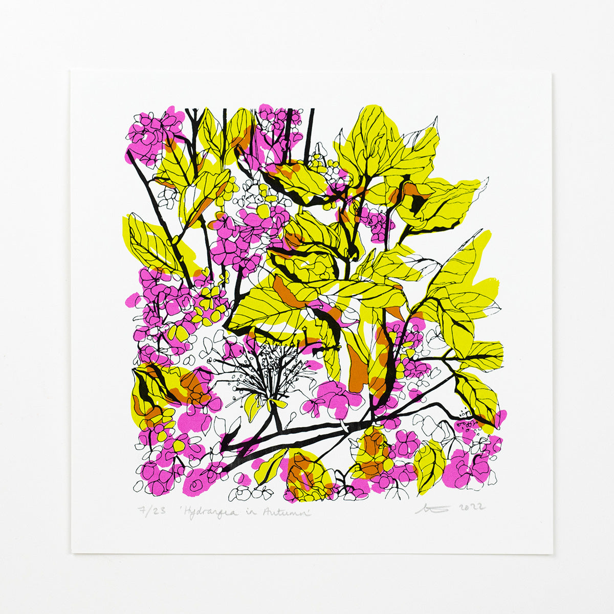 Hydrangea in Autumn