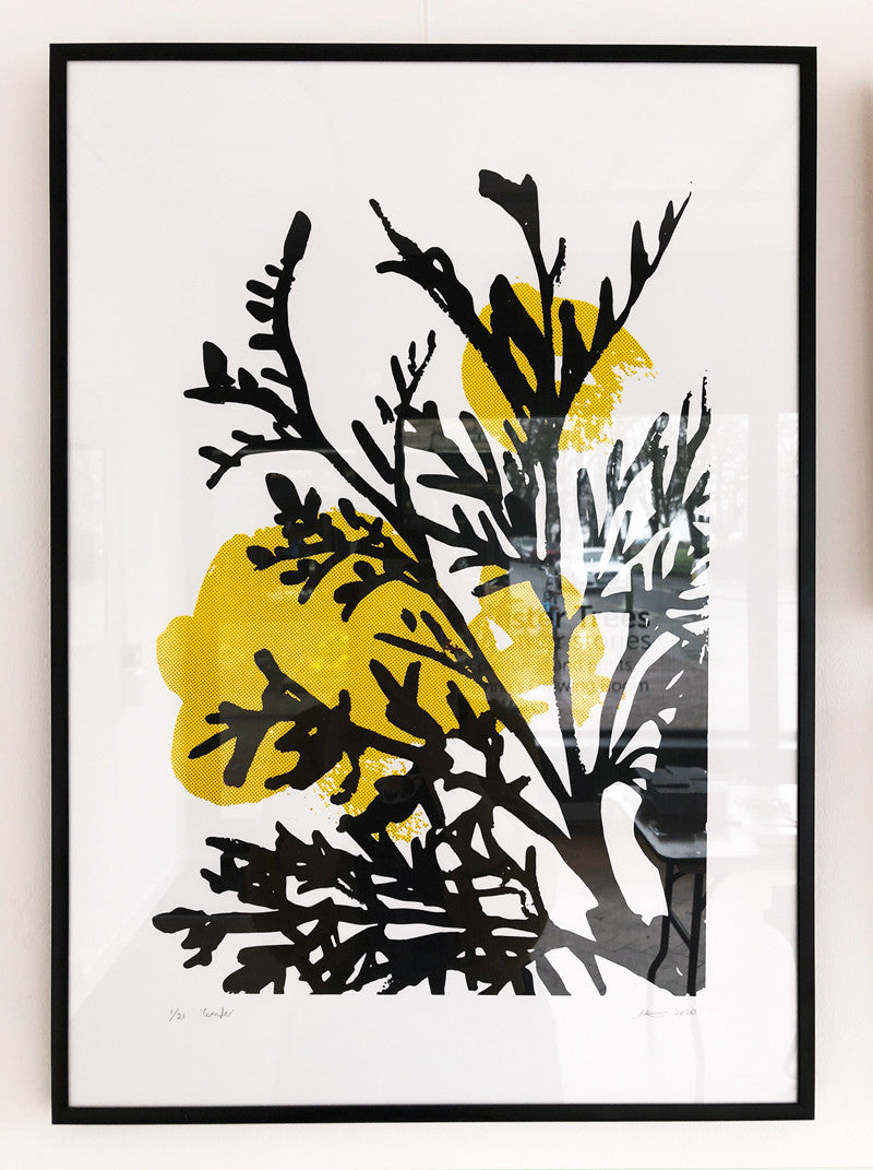 Conifer-A2-Framed.jpg