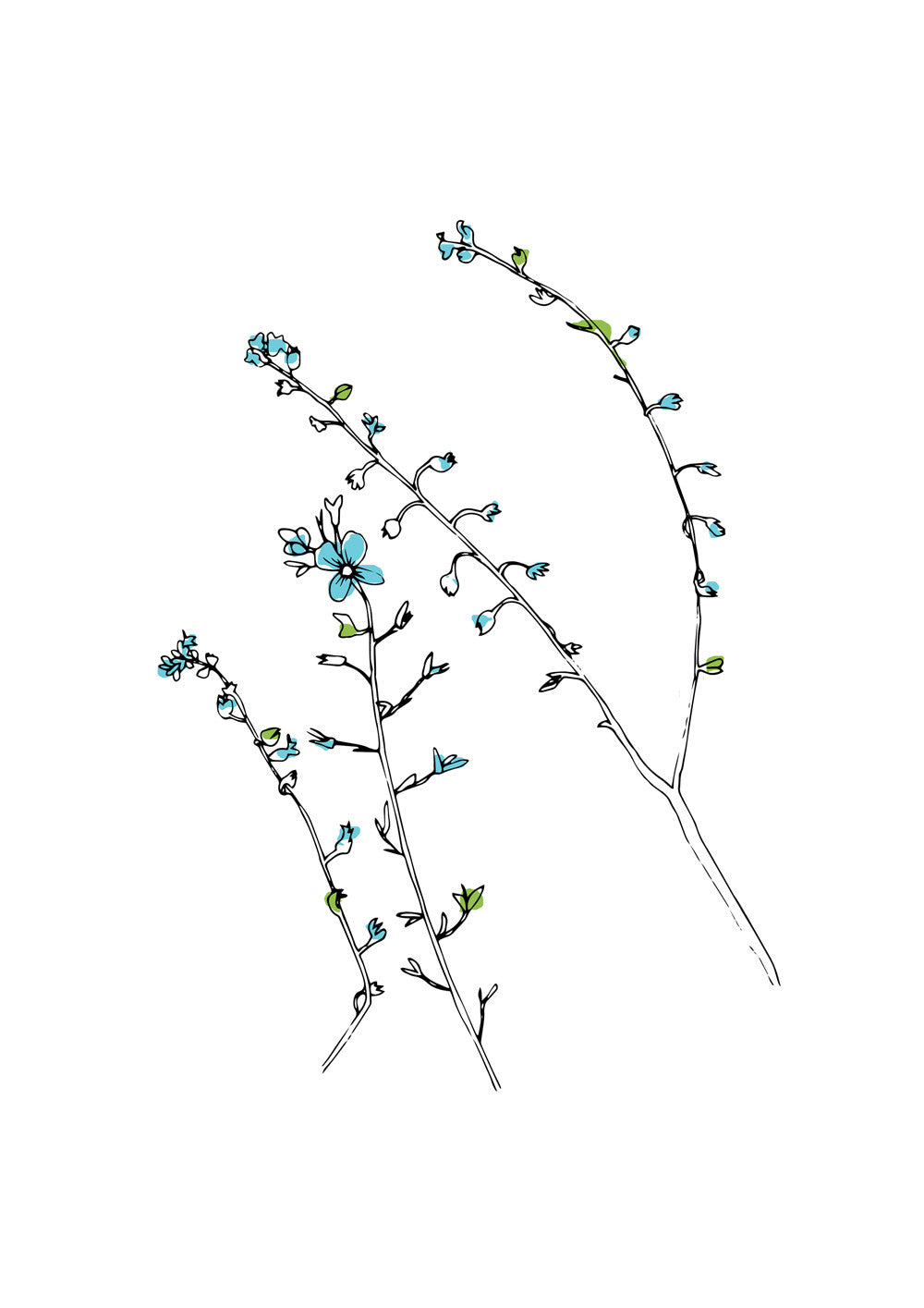 Forgetmenots-scaled-for-A4.jpg