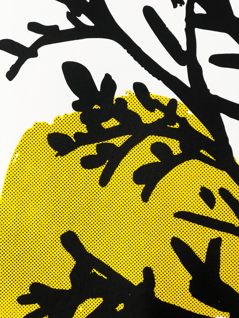 Conifer-detail.jpg