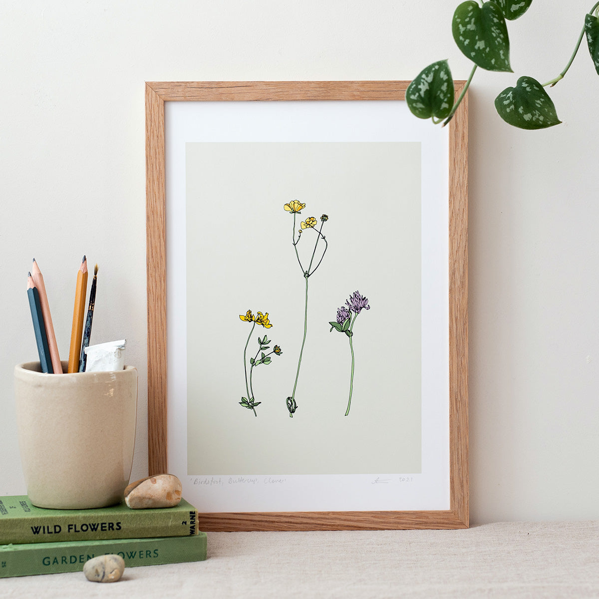 Birdsfoot, Buttercup, Clover - A4 Print