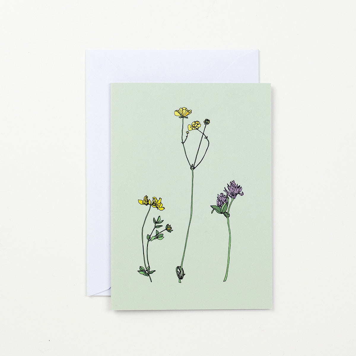 Birdsfoot, Buttercup, Clover - Card