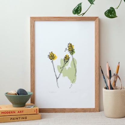 Wildflower Buds Print by Annas Drawing Room ls web.jpg